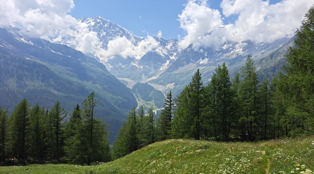 Alpe Fluh Bill